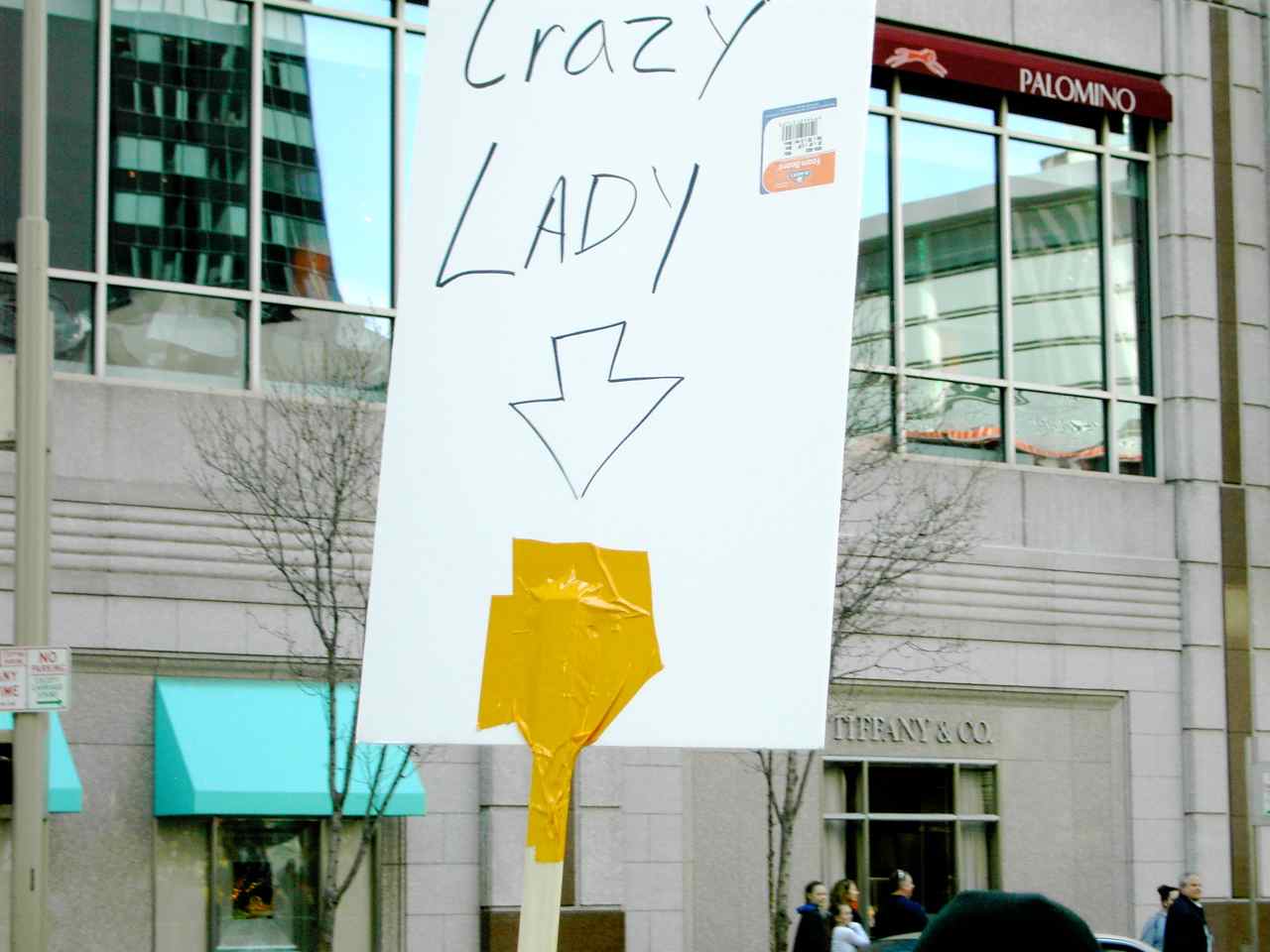 This sign followed the Obama supporter all day